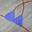 Illusions Blueberry Red Triangle Top